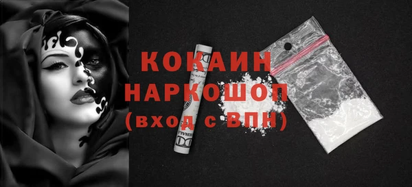 индика Алексин