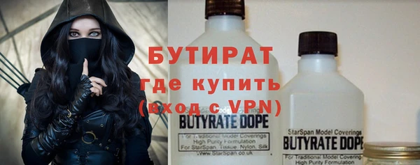 индика Алексин