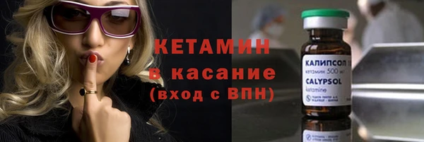 индика Алексин