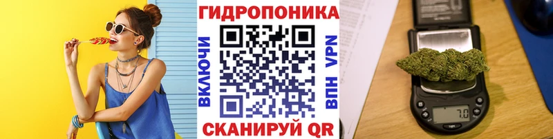 Канабис план  omg сайт  Фатеж 